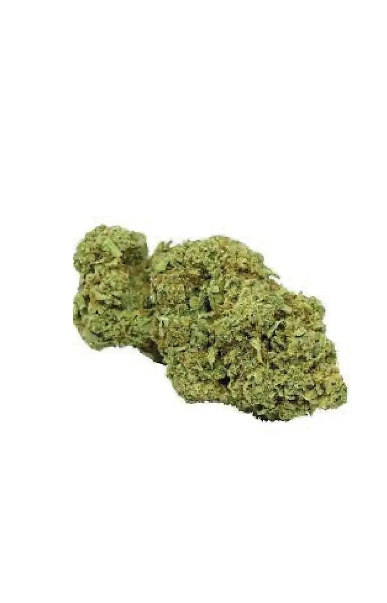 CBD cvijet Amnesia