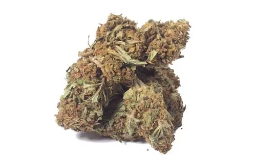 CBD cvijet AK-47